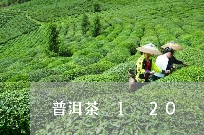 普洱茶 1 20/2023041083515